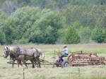 Calvin Miller raking hay 6-29-15