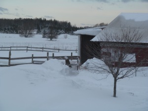 front of the barn 2-25-16