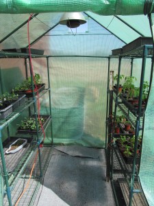 greenhouse-set-up-4-17-16
