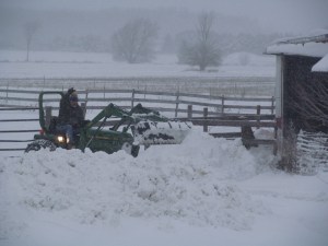 snow-storm-1-10-16-michael-waving